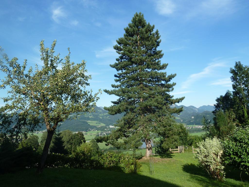 Pension Schoene Aussicht คูเคิล ภายนอก รูปภาพ